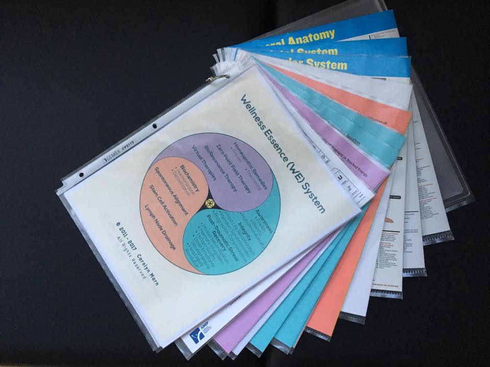 Wellness Essence System Manual