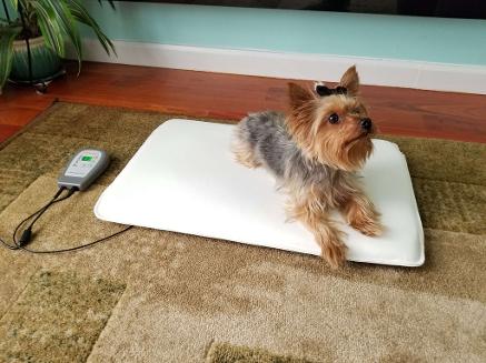 OMI PEMF Mini-Mat for Pets
